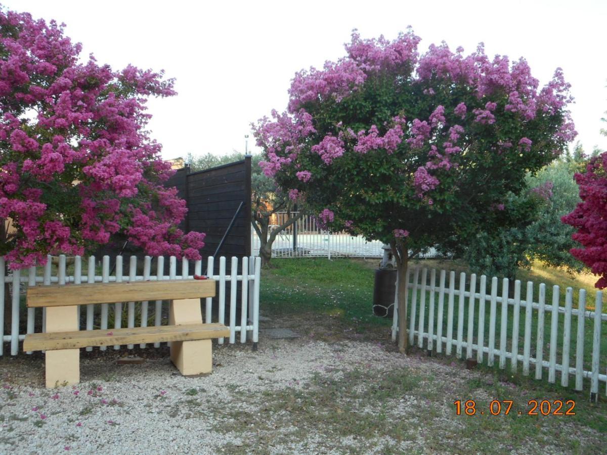 Le Rieufroid Holiday home *