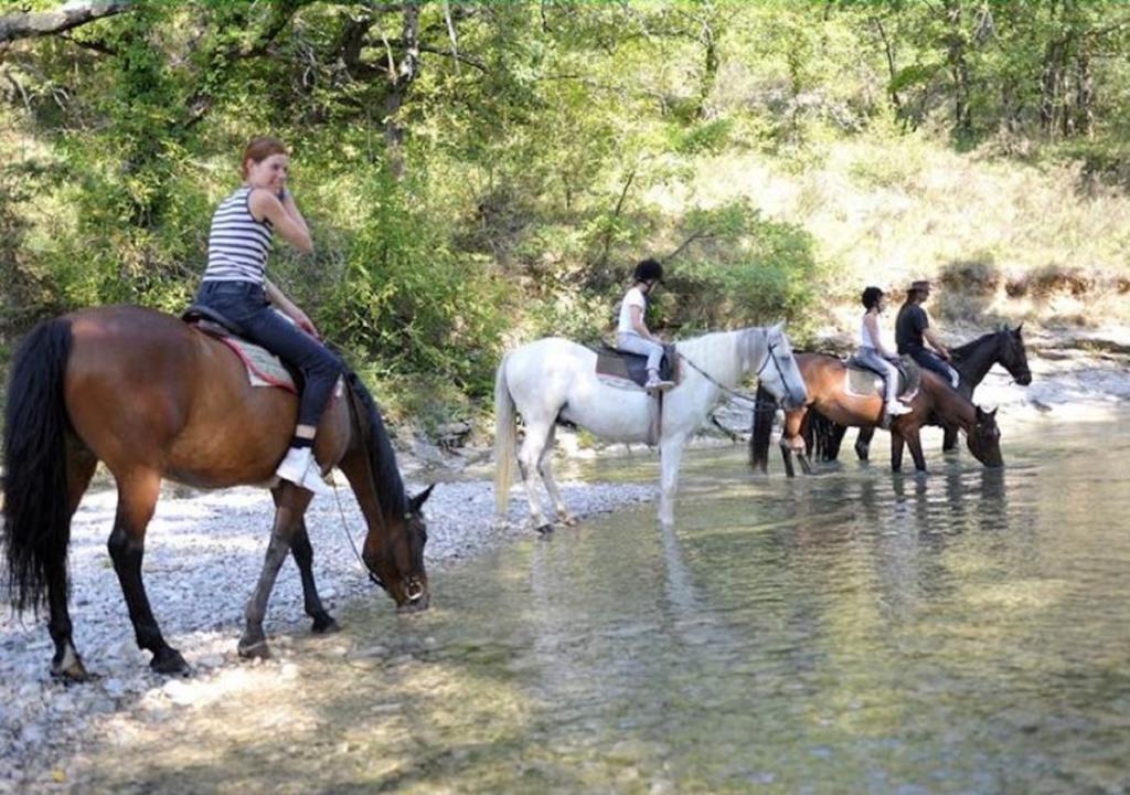Le Rieufroid Hébergement de vacances *